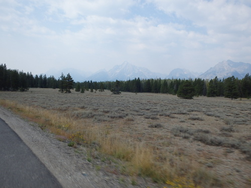 GDMBR: Open field, this is where we saw what looked like a Wolf.